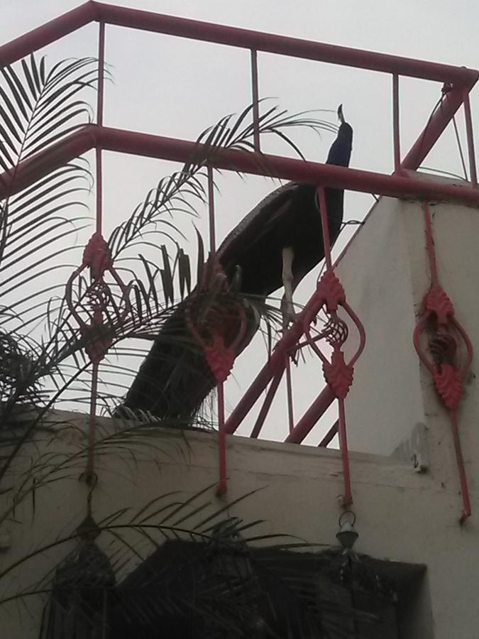 Jaypore House Bed & Breakfast Yeni Delhi Dış mekan fotoğraf